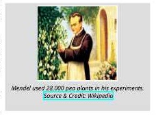 Gregor Mendel