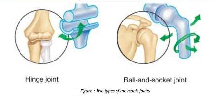 socket joint